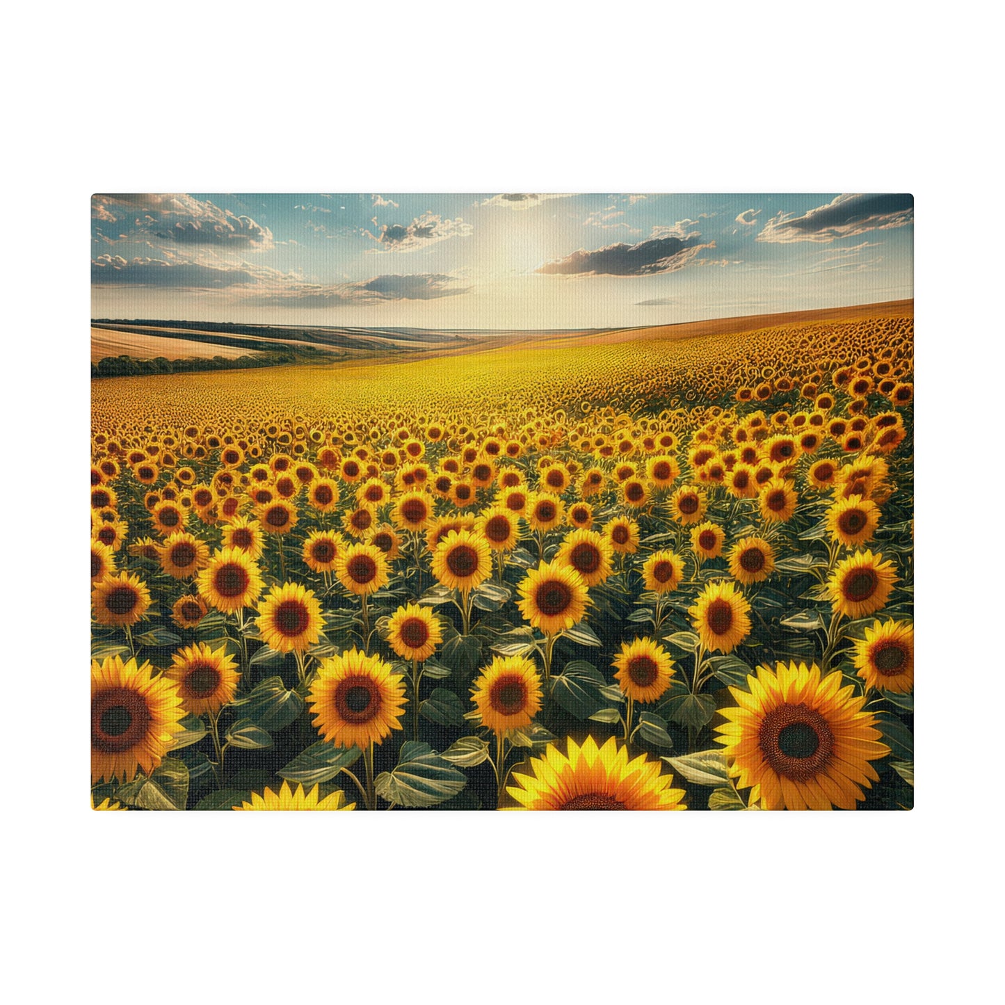 Matte Canvas, Stretched, 0.75"