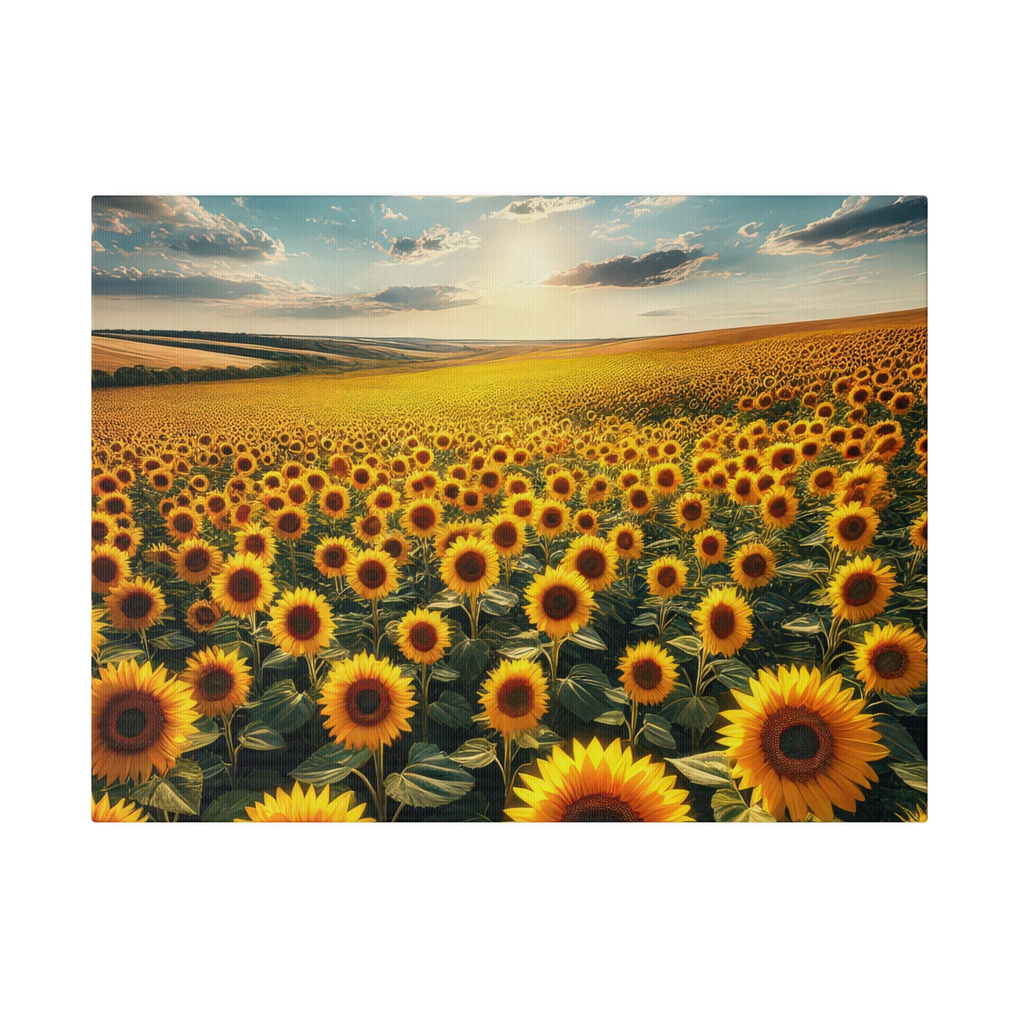 Matte Canvas, Stretched, 0.75"