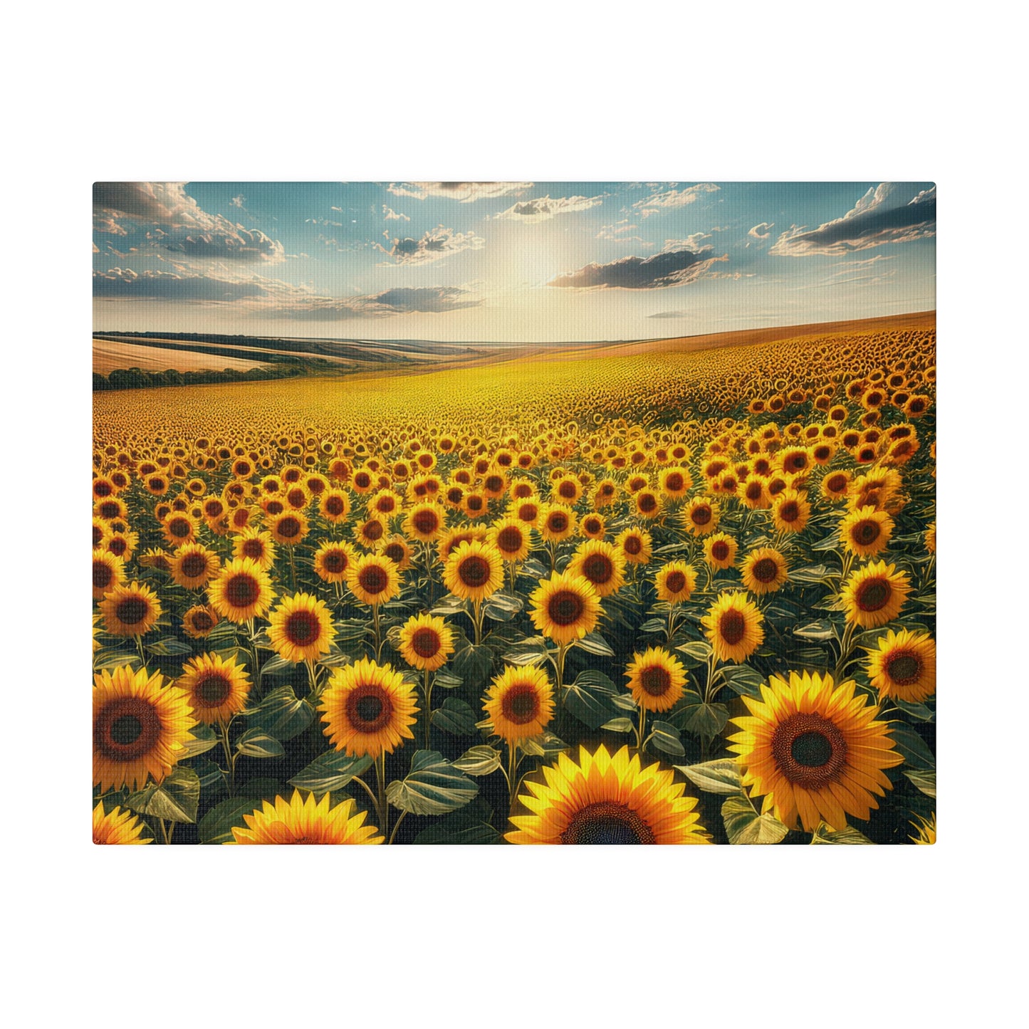 Matte Canvas, Stretched, 0.75"